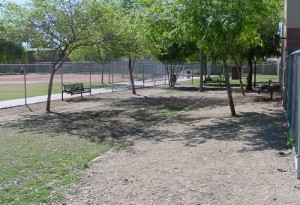 dog park