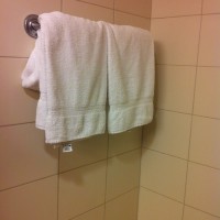 The Wet Towel Affair